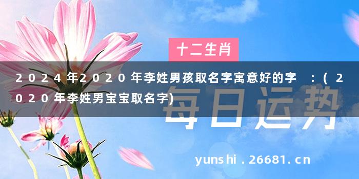2024年2020年李姓男孩取名字寓意好的字 :(2020年李姓男宝宝取名字)